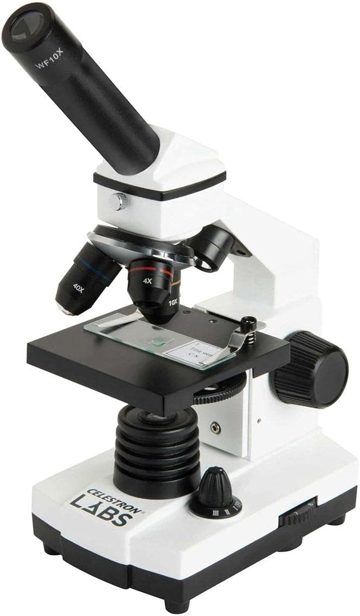 Óptica y Resolución: Descubriendo Mundos Pequeños con tu Microscopio